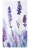 Boston Intl 26 BFxx Guest Towel -22 Styles
