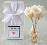 B's Knees 26 BK26xx Classic Natural Reed Diffuser - 23 Scents