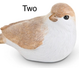 Raz Imports 26 4612124x Sparrow 2.5in - 3 Styles