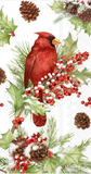Boston Intl 26 BFxx Holiday Guest Towel -6 Styles