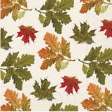 Boston Intl 26 Lxxx Lunch Napkins - 32 Styles