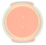 Tyler Candle 26 221xx Two-Wick Candle 22oz - 19 Scents