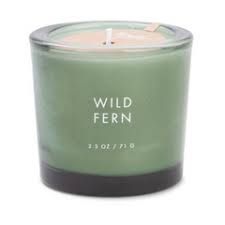 Southern Firefly Candle Co SF WPBC03002 Firefly Botany 2.5 oz Basil Green Votive Glass Candle - Wild Fern
