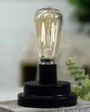 VIP Home & Garden 26 YY100x Decorative Led Edison Bulb - 2 Sizes