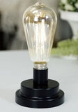 VIP Home & Garden 26 YY100x Decorative Led Edison Bulb - 2 Sizes