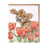 Wrendale Designs WD ANCPxx Notecard Set Collection