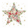 Paperproducts Design 26 3250xx Holliday Cocktail Napkin 20 Pack - 16 Styles