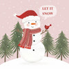 Paperproducts Design 26 3250xx Holliday Cocktail Napkin 20 Pack - 16 Styles