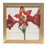 Raz Imports RZ 4344585x 10" Amarylis & Poinsettia Framed Print