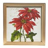 Raz Imports RZ 4344585x 10" Amarylis & Poinsettia Framed Print