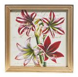 Raz Imports RZ 4344585x 10" Amarylis & Poinsettia Framed Print