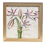 Raz Imports RZ 4344585x 10" Amarylis & Poinsettia Framed Print