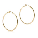 eNewton Design 26 ERDG2Hx Round Gold 2" Hoop - 2 Styles