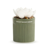 succulent oil diffuser Demdaco 10045400xx "Quiet Time" Succulent Oil Diffuser – Piper Lillies Gift Shoppe