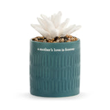 demdaco succulent oil diffuser Demdaco 10045400xx "Quiet Time" Succulent Oil Diffuser – Piper Lillies Gift Shoppe