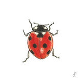 Paperproducts Design PD 13300xx Lunch Napkin