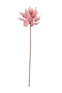 Kalalou Inc KI CLX3141 Botanica #3141