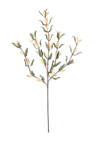 Kalalou Inc KI CLX3129 Botanica #3129