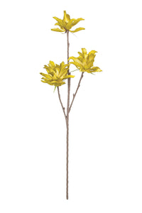 Kalalou Inc KI CLX3124 Botanical #3124
