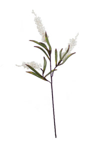 Kalalou Inc KI CLX2929 Botanica #1129