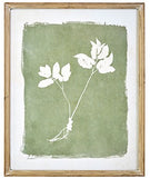 Raz Imports RZ 4044556 23.75" Botanical Framed Print