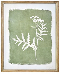 Raz Imports RZ 4044556 23.75" Botanical Framed Print