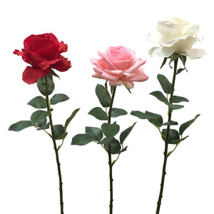 individual roses