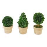 Mud Pie MP 40930029xx Small Boxwood Topiary - 3 Styles