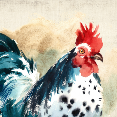 Southern Sisters Home SSH C12X12WR 12 x 12 Canvas Watercolor Rooster