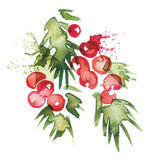 Paperproducts Design 26 325xx Holiday Cocktail Napkins 20 Pack - 14 Styles