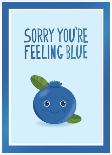 Design Design DD 100-31606 Sorry You're Feeling Blueberry