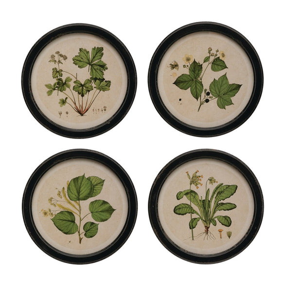 Creative Co-Op CCOP DF3358A  Round MDF Framed Wall Decor with Vintage Reproduction Botanical Print, 4 Styles 13.75