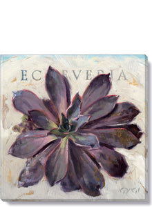 Sullivans SU 196-S-0909 Echeveria Giclee Wall Art