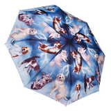 Galleria Enterprises GE 30103RCx Reverse Close Folding Umbrella