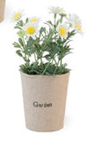 Boston International BI ODL19265x Dainty Daises