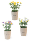 Boston International BI ODL19265x Dainty Daises