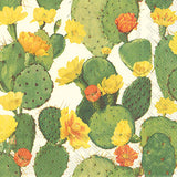 Boston International BI Cxxx Premium Cocktail Napkins - 21 Styles