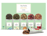 Tea Forte TF 179xx Single Steeps - 6 Flavors