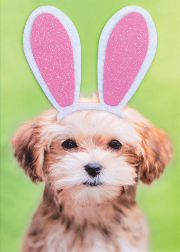 Design Design DD 100-79676 Dog With Bunny Ears - Easter