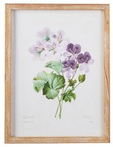 Raz Imports RZ 4144540 15.75" Floral Framed Print