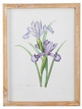 Raz Imports RZ 4144540 15.75" Floral Framed Print