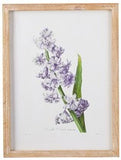 Raz Imports RZ 4144540 15.75" Floral Framed Print