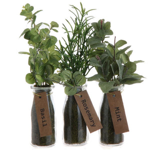 Raz Imports RZ 3302090 12" Potted Herbs In Bottle