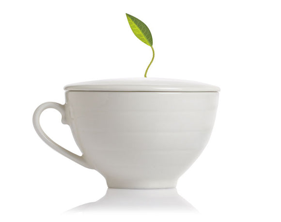 Tea Forte TF 30400 Cafe Cup
