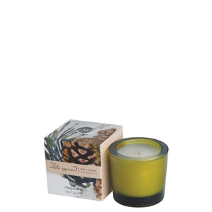 Mangiacotti Inc MI 2.5oz Soy Candle