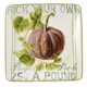 Certified International CI 37250  Sweet Autumn Harvest Canape Plate Square - 6"