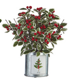 Raz Imports RZ 4002229 12" Holiday Botanical Arrangement