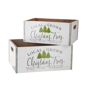 Raz Imports RZ 411261 Local Grown Christmas Trees Wooden Crate