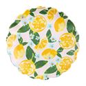 Mud Pie MP 42200111xx Melamine Fruit Plates