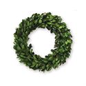 Mud Pie MP 4263043xx Mini Preserved Boxwood Wreath